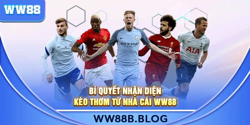 Bí Quyết Nhận Diện Kèo Thơm Từ Nhà Cái WW88