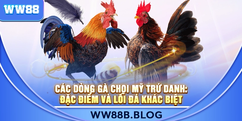 Các Dòng Gà Chọi Mỹ Trứ Danh: Đặc Điểm Và Lối Đá Khác Biệt