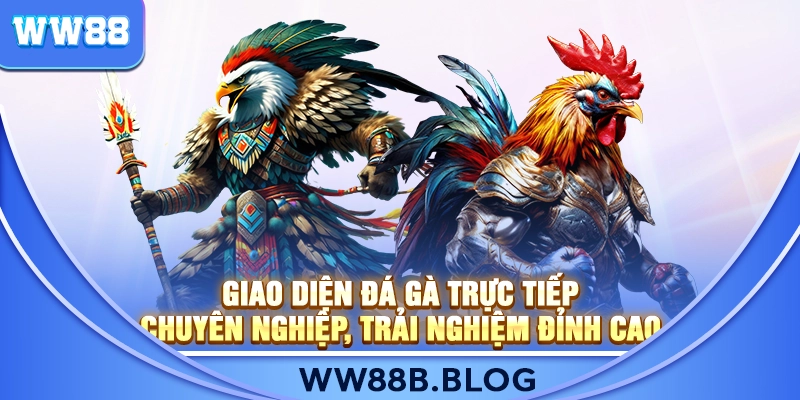 Giao Diện Đá Gà Trực Tiếp Chuyên Nghiệp, Trải Nghiệm Đỉnh Cao