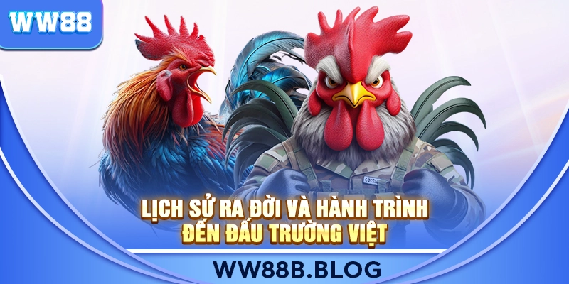 Lịch Sử Ra Đời Và Hành Trình Đến Đấu Trường Việt