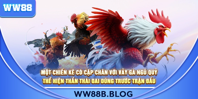 Những yếu tố quyết định vảy gà