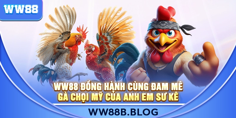 WW88 Đồng Hành Cùng Đam Mê Gà Chọi Mỹ Của Anh Em Sư Kê