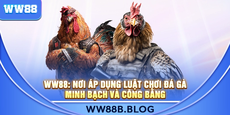 WW88: Nơi Áp Dụng Luật Chơi Đá Gà Minh Bạch Và Công Bằng