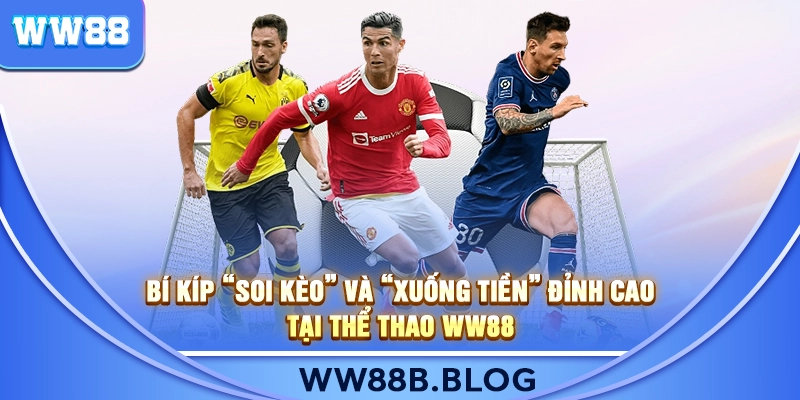 Nguyên tắc quản lý vốn hiệu quả khi chơi Thể Thao WW88