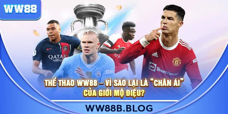 Thể Thao WW88 với đa dạng giải đấu